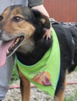 Hier kommt Ernie und nicht Bert :) - München