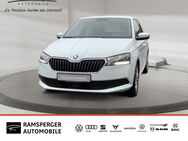 Skoda Fabia, 1.0 TSI Combi Ambition, Jahr 2019 - Kirchheim (Teck)