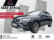 Seat Ateca Xperience 2.0 TDI 4Drive DSG*AHK*PANO*LED - Lübben (Spreewald)