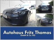 VW Golf, 2.0 TDI VIII Life, Jahr 2022 - Celle