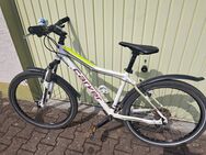 Mountainbike 26" - Leverkusen