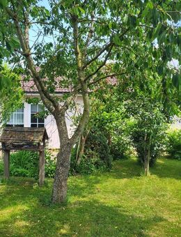 Ebenerdig Wohnen mit Terrasse und Garten - Jürgenshagen
