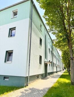 Schnell SEIN! RENOVIERTE 3-RAUMWOHNUNG in Zscherndorf! - Sandersdorf Sandersdorf