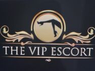 Suche Damen für das Escort Gewerbe! - Bottrop Zentrum