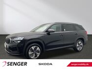 Skoda Kodiaq, 1.5 TSI iV Selection, Jahr 2025 - Rheine