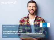 Gruppenleiter (m/w/d) Wärmedienstleistungen und Energieeffizienz - Ulm