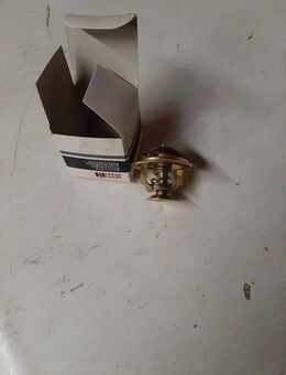 IHC Thermostat 3059676R91 - Büdingen