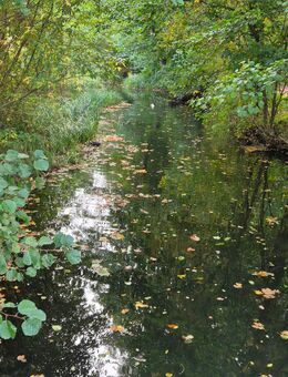 Private Pflegekraft hat freie Kapazitäten - Mölln (Schleswig-Holstein)