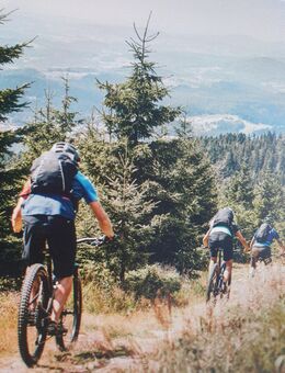 Biker aus dem Bayerischen Wald sucht Begleiterin für schöne Touren - Viechtach