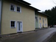 2-Zimmerwohnung im DG - sofort beziehbar - Erstbezug - ruhige Lage - Grafenwiesen