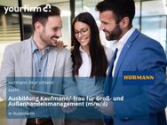 Ausbildung Kaufmann/-frau für Groß- und Außenhandelsmanagement (m/w/d) - Rutesheim