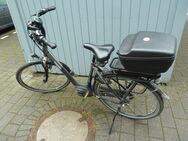 E-Bike Gazelle ARROYO C7+HMB ZEG Limited D53 tiefer Einstieg Damenfahrrad - Bad Zwischenahn