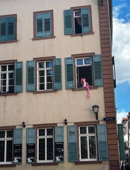 WG Zimmer in Vierer WG - Osnabrück