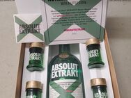 Absolut Vodka Sammlung - Werder (Havel)