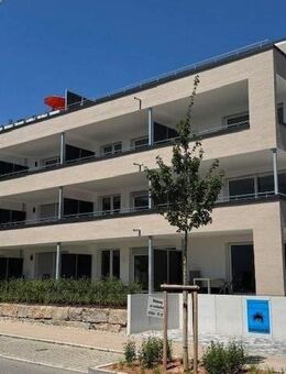 Alles in der Nähe - Renningen