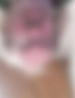 wil*** - Tangermünde