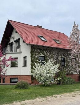 Großzügiges Einfamilienhaus mit viel Fläche und Garten in Beelitz - Beelitz