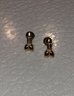 1 Paar neue Edelstahl P*nis Ohrstecker in der Farbe Gold mit Gravur - Uchte