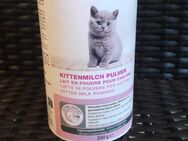 Kitten Milch abzugeben - Leipzig West