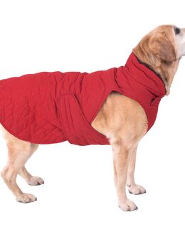 Hundemantel Steppmuster - ca. 70 cm Rückenlänge