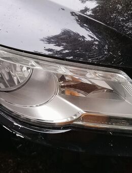 VW Tiguan I (5N) Halogenscheinwerfer rechts 5N2941032K - Bergisch Gladbach
