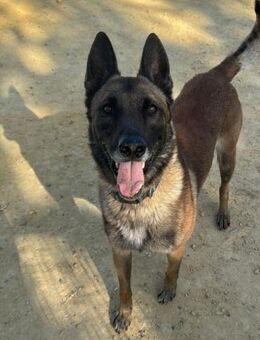 Selu - kleines Powerpaket - Marienfließ