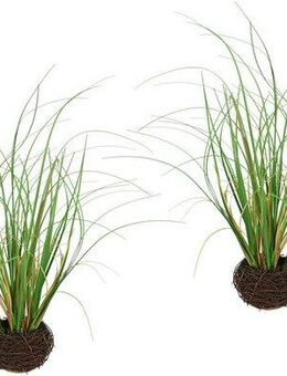 Kunstpflanze Gras im Reisig, I.GE.A., Höhe 25 cm, Künstlicher Grasbusch, 2er Set