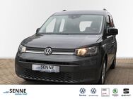 VW Caddy, 2.0 TDI, Jahr 2023 - Barsinghausen