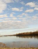 Suche einen Mann für eine monogame harmonische Beziehung in 84130