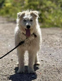Menschenbezogene hübsche RINA sucht♥️ - München