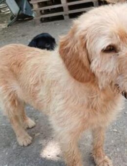 Die hübsche Zani wartet auf euch - Olsberg