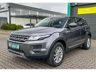 Land Rover Range Rover Evoque - Niederzier