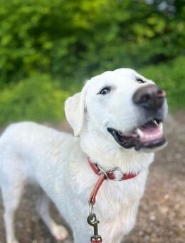 Libby wartet auf ihre Familie - Untergriesbach