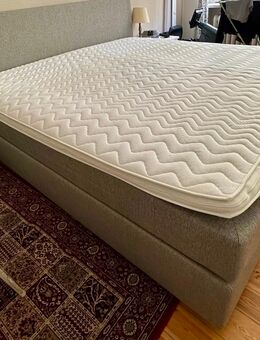 Boxspringbett - Berlin Steglitz-Zehlendorf