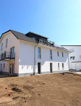 A+ Energieeffizienz mit KfW40 Förderung! Barrierefreie 4-Zimmerwohnung mit Aufzug in die Wohnung - Alsbach-Hähnlein