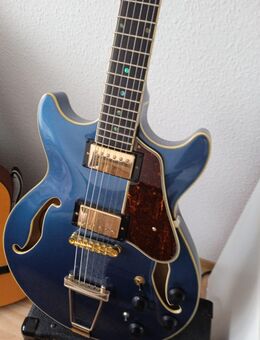 E-Gitarre - Schwedt (Oder)