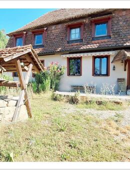 Traumhafte fast Alleinlage auf über 22.500 m² - Wohnhaus, Scheune, Werkstatt und Brunnen - bezugsfertig - denkmalgeschütztes Anwesen - Oberdachstetten