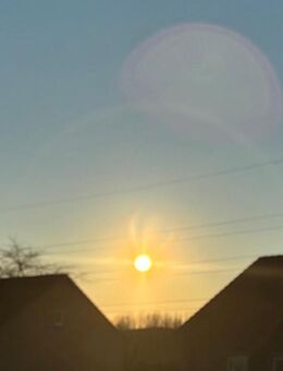 Lancelot für meine Tafelrunde gesucht 😇 - Hamm