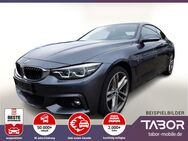 BMW 430, d 4er 430d Steptr xDrive M Sport Merino, Jahr 2017 - Freiburg (Breisgau)