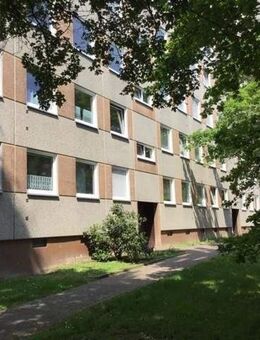 Zuhause fühlen: familienfreundliche 4-Zimmer-Wohnung in grüner Wohnlage - Kassel