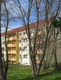 WSF: Guter Zuschnitt, ruhig, mit Balkon - Weißenfels
