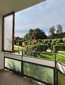 Große, barrierefreie 3-Raum-Wohnung in idyllischer Lage - Lößnitz