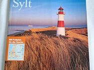 Merian Sylt: Abenteuer: Eine Woche Sylt zum Nulltarif. Wattenmeer: Entdeckungen - Essen