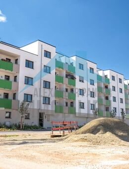 2 ZKB-Seniorenwohnungen mit Balkon und Servicedienstleistungen & Alltagshilfen in Vellmar! - Vellmar