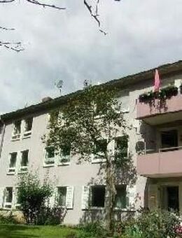 Schöne 3 zimmer Wohnung in Ruhiger Lage - Wiesbaden