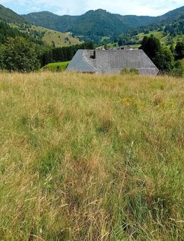 Entwicklungsfläche in Todtnau Präg zu verkaufen - Todtnau