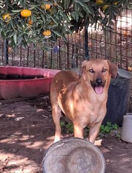 der liebe Groucho sucht seine Familie - Untergriesbach