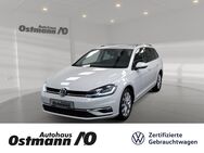 VW Golf Variant, 1.5 TSI Golf VII Highline, Jahr 2020 - Bad Arolsen