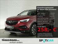 Opel Grandland X, ULTIMATE °, Jahr 2021 - Coesfeld