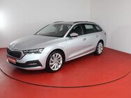 Skoda Octavia Combi iV 1.4TSI DSG 279,-ohne Anzahlun - Horn-Bad Meinberg